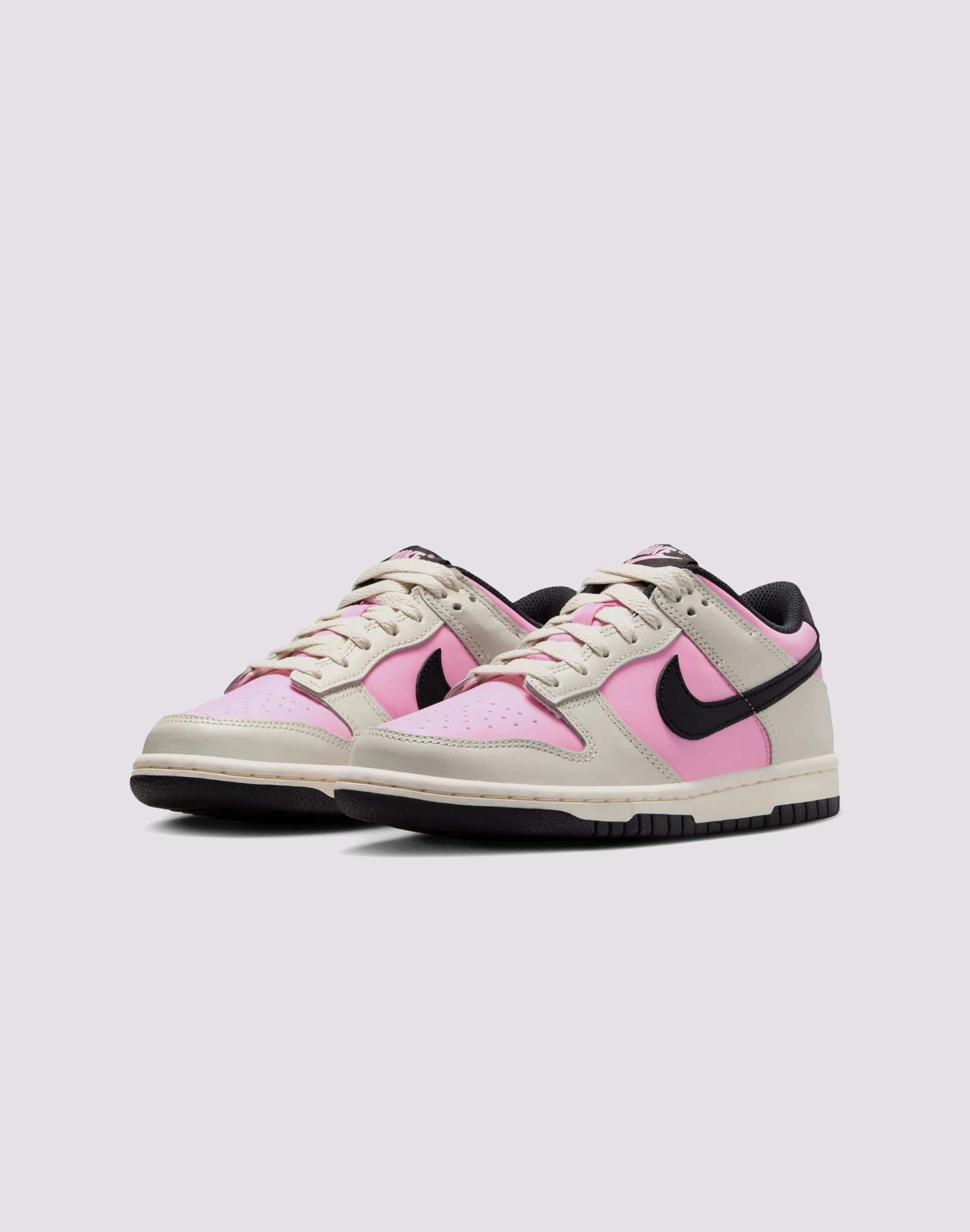Ventilated Panels Nike Dunk Low Grade-School
