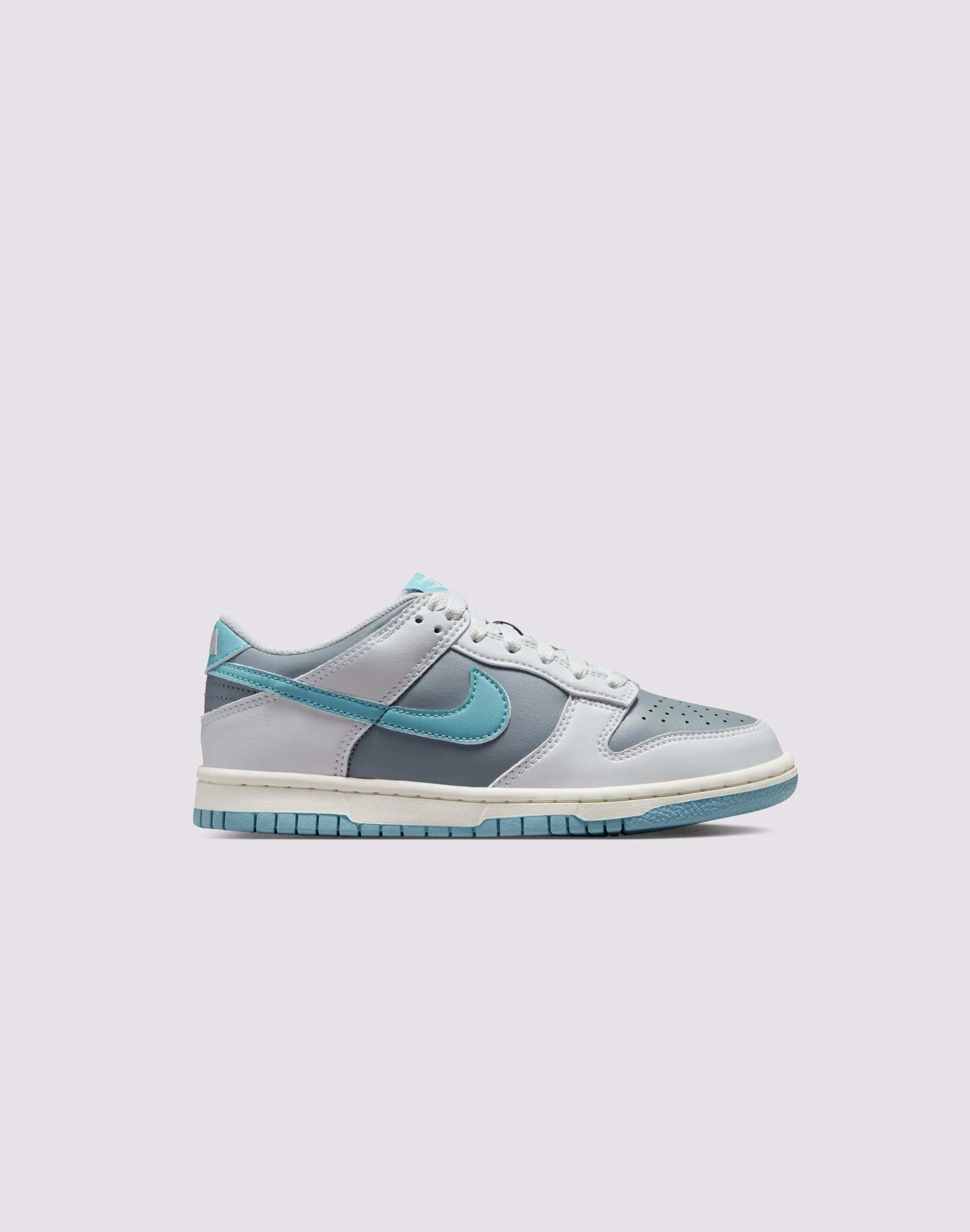 Nike Dunk Low Grade-School DurableConstruction Slip Resistant Outsole