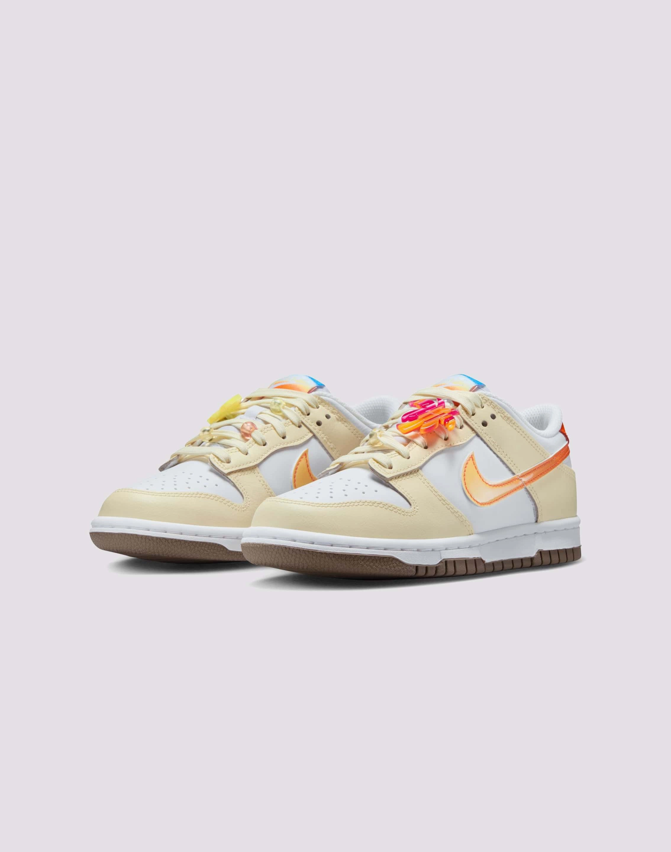 Thermal regulation Nike Dunk Low Grade-School