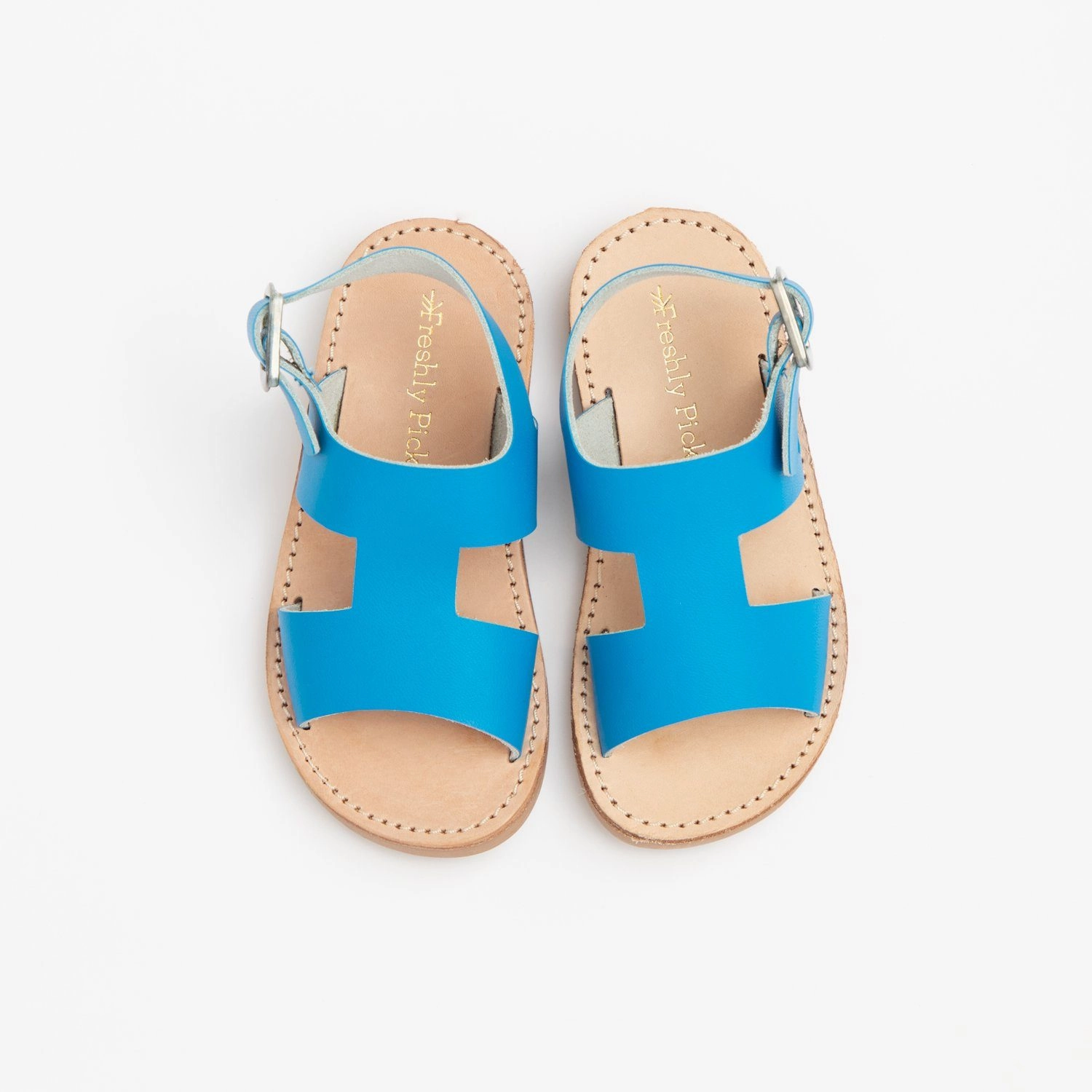 Quick Dry Shoes Light Gear Cobalt Concord