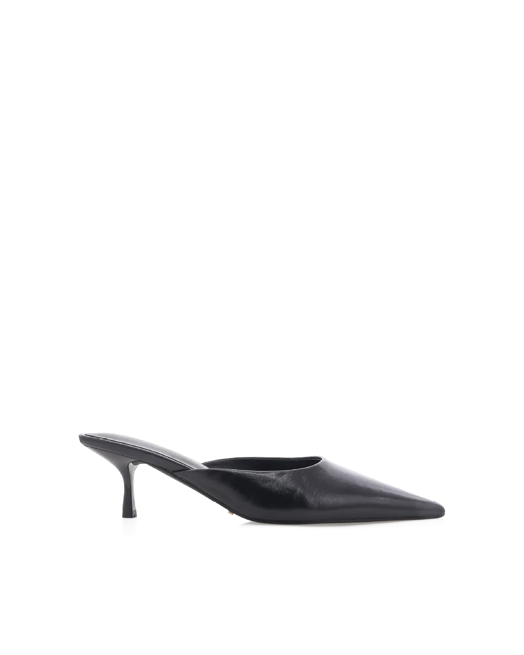 WYNONNA - BLACK SHINE Cactus Cool Winter Base