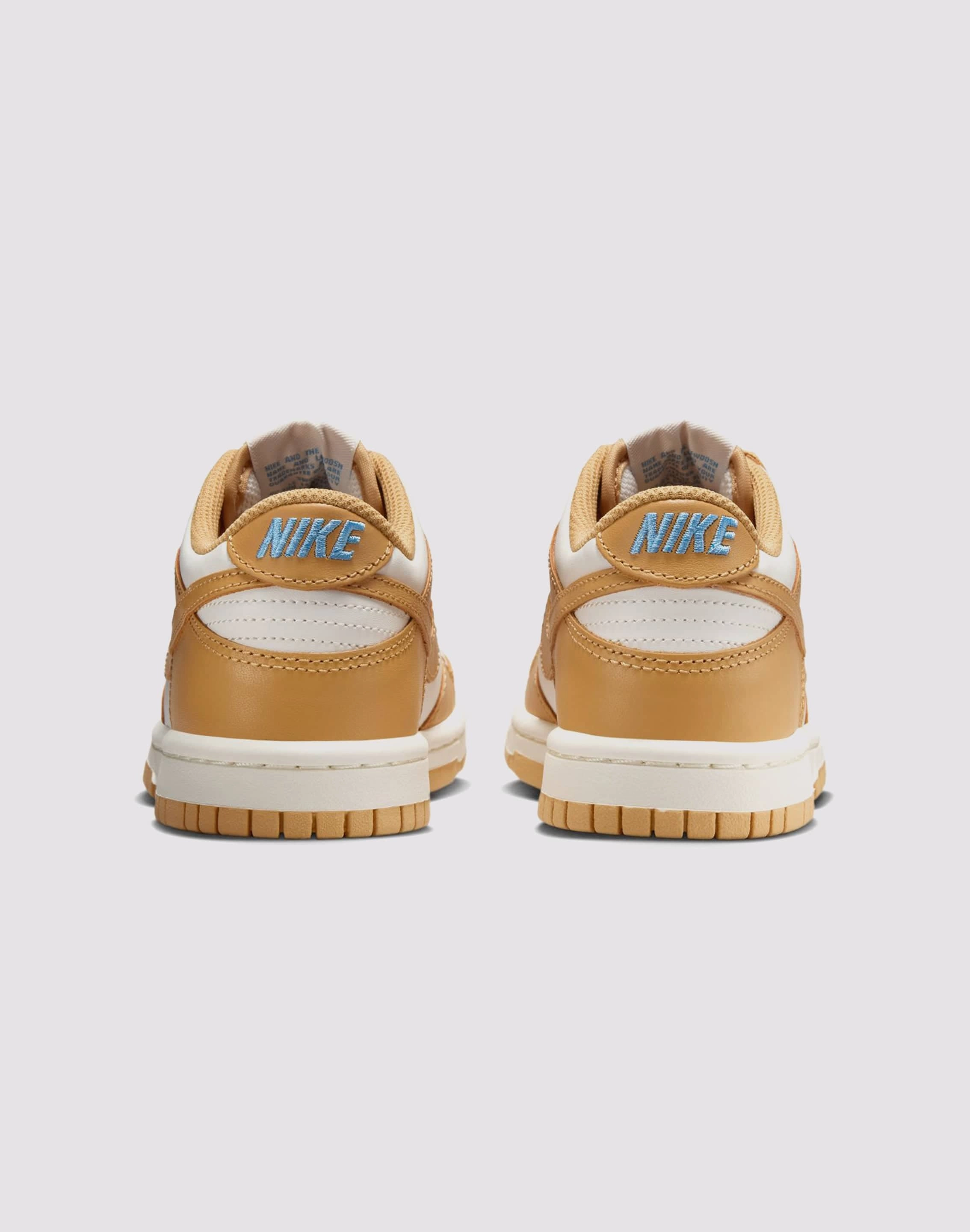 Nike Dunk Low Grade-School Easy Clean Bounce Back Foam