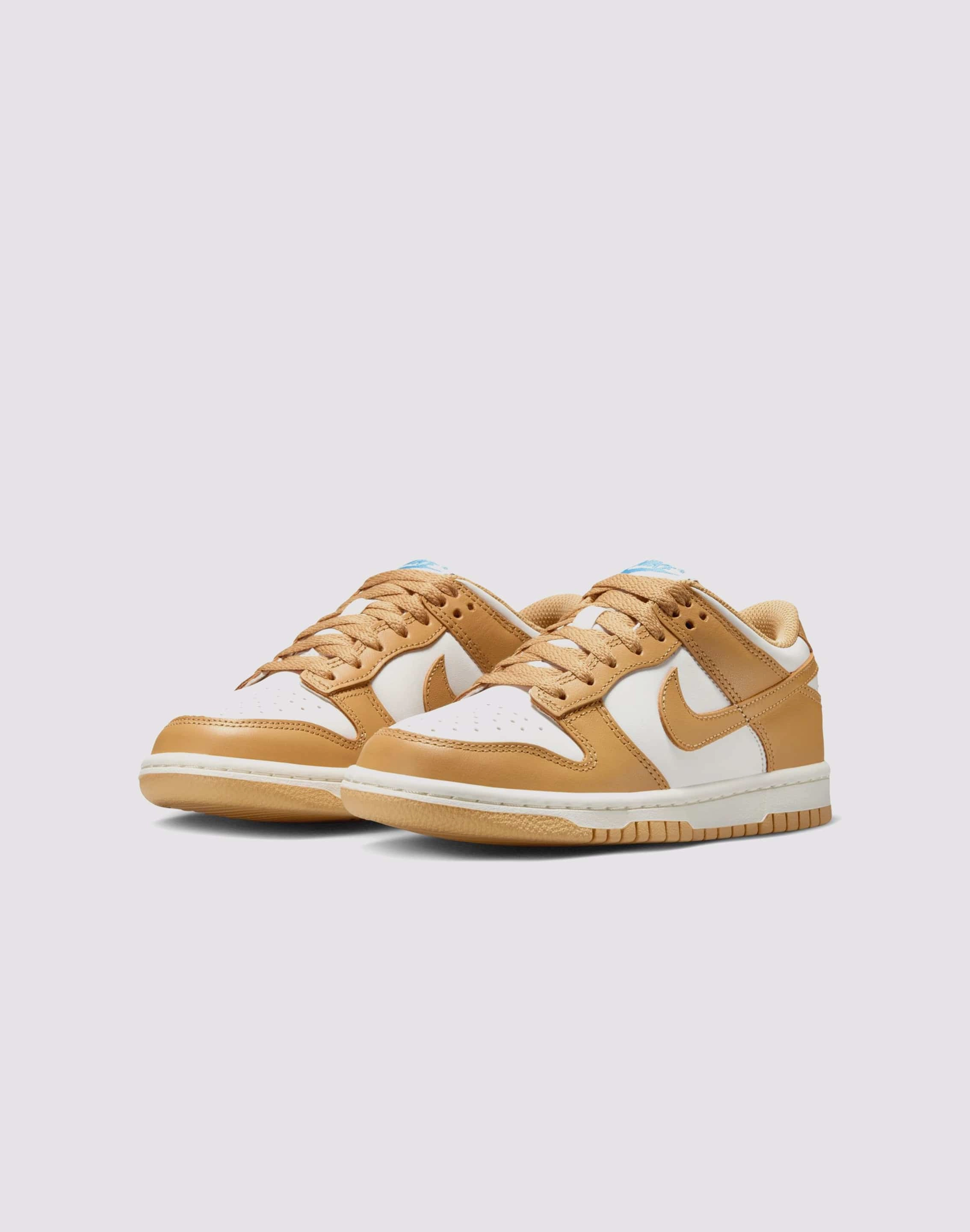 DoubleStitchedSeam Nike Dunk Low Grade-School