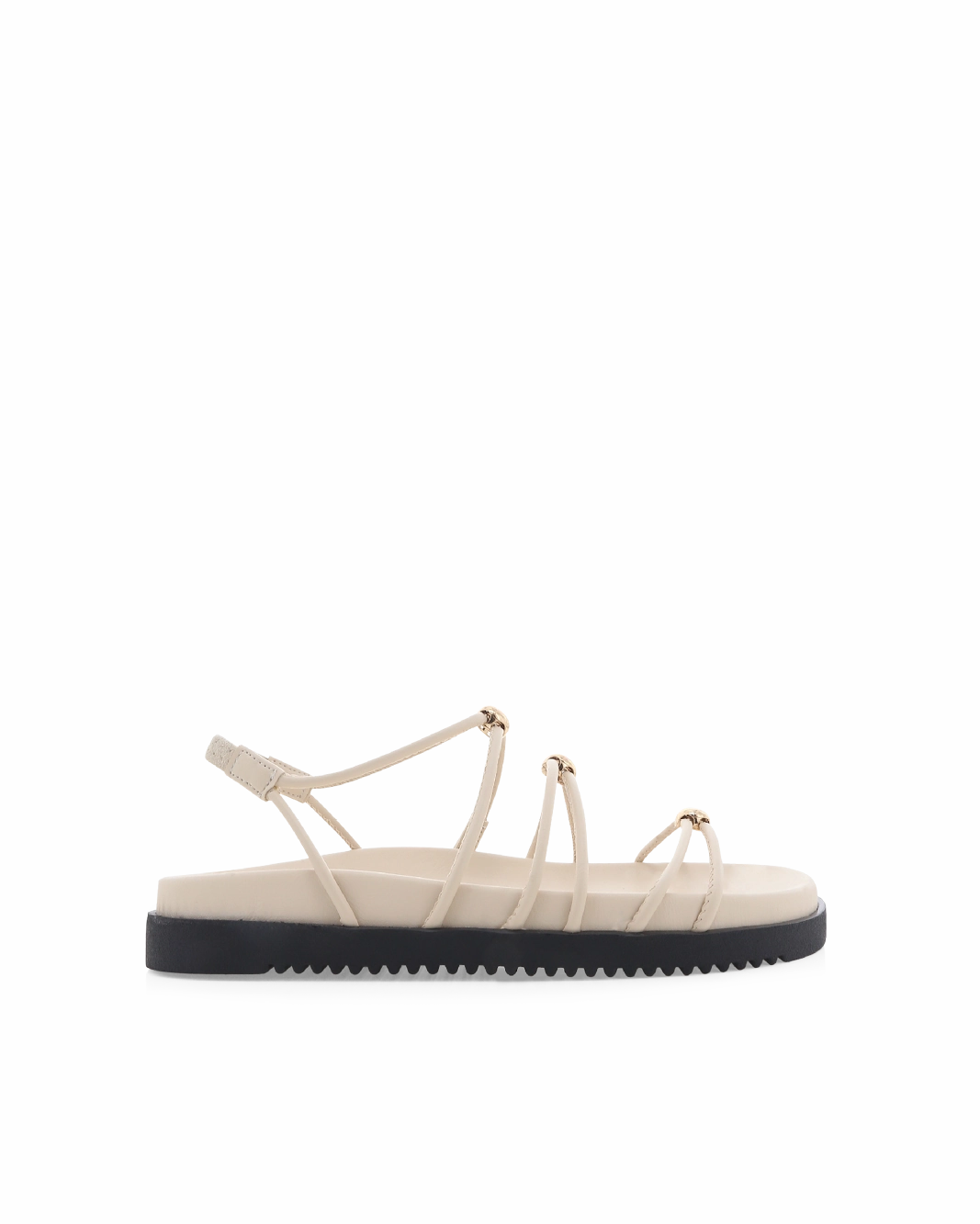 Light Activity ATWOOD - BONE