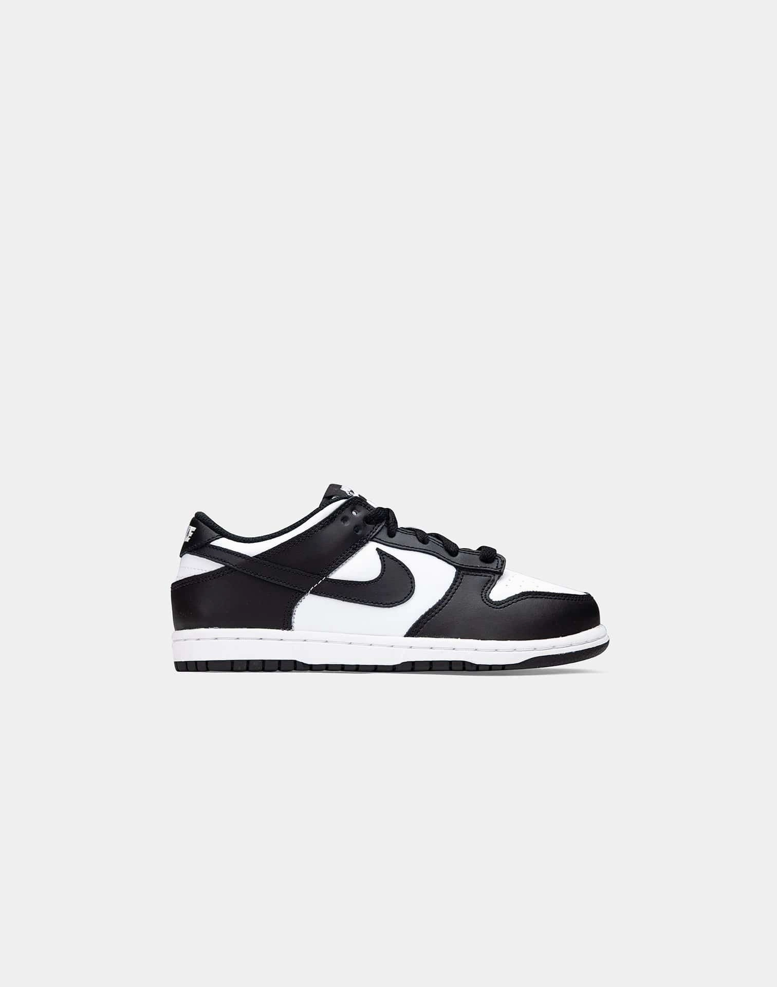 Nike Dunk Low Pre-School Synthetic kids' shoes