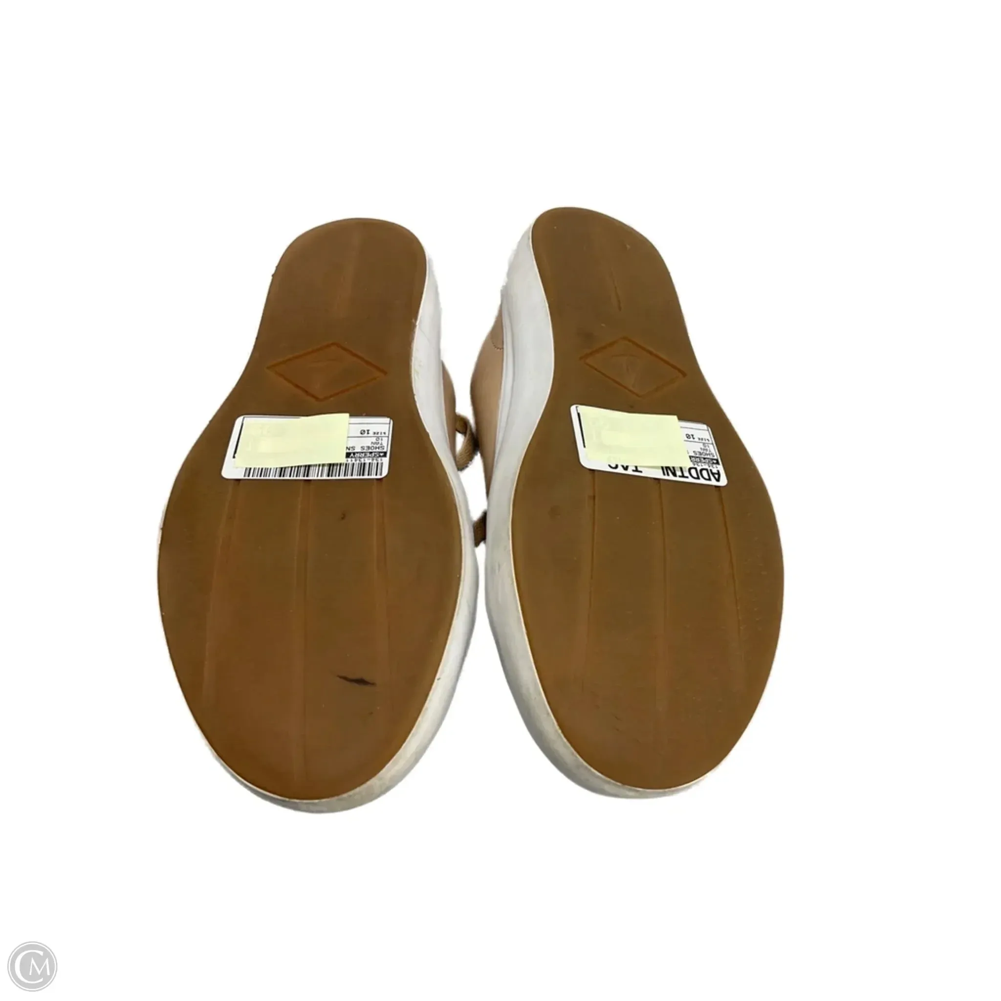 Shoes Sneakers By Sperry In Tan, Size: 10 On Foot Ventilated