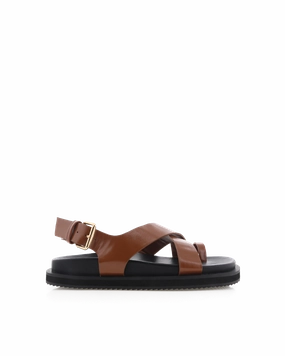 TENNIE - TAN-BLACK Pet Walk