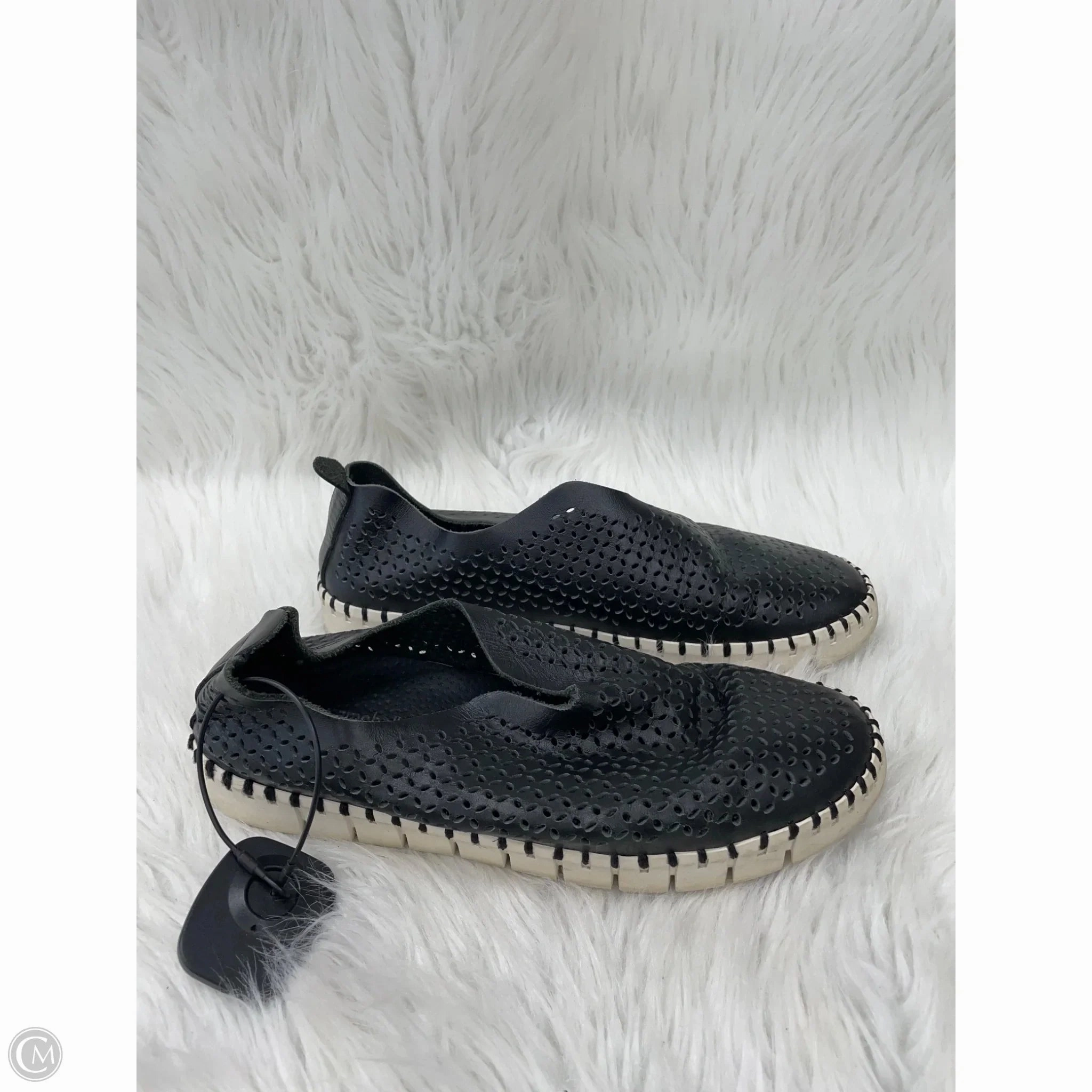 Shoes Sneakers By Jeffery Campbell In Black & Cream, Size: 7.5 Sleek Shape