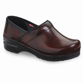 Winter Chill Professional Women's Cabrio Clog - Brown